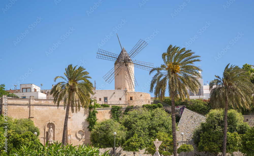 Wall mural The Old Town Skyline in Palma Majorca