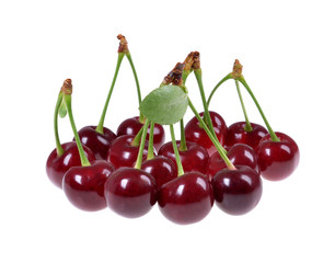 Sour cherry  isolated on white background