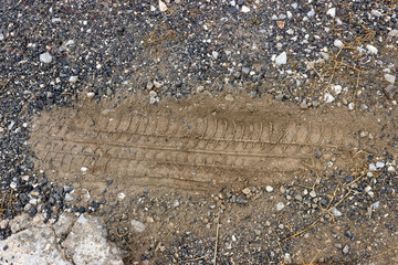  Trace of car wheels on the dirt road. Evidence from the crime scene.