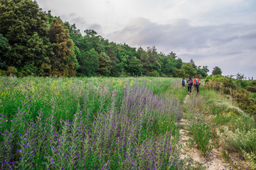 Fototapeta premium Famous hiking destination in the Montseny Natural Park, Barcelona, Catalonia, Spain