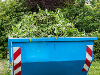 Grünabfälle in einem Container