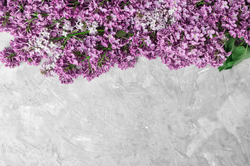 Beautiful blossoming lilac on grey background