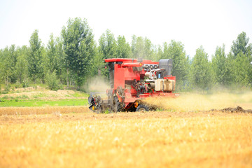 combine harvester working