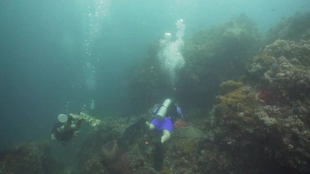 Scuba divers explores underwater coral reef and watching the fish.Scuba diver underwater in a tropical sea.Tropical fish on a coral reef. Diving and snorkeling in the tropical sea. Philippines
