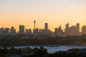 Sydney skyline with clear sky at sunset time.
