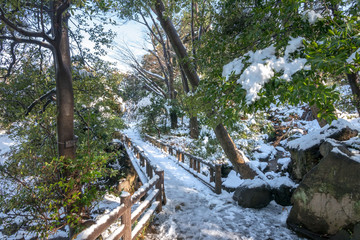 有栖川宮記念公園の雪景色