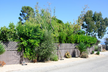 House with green lawn manicured frontyard garden in suburban residential neighborhood