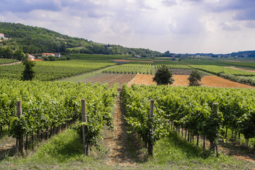 Fototapeta premium Country landscape of North Italia