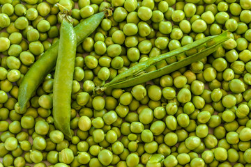 petits pois écossés 1