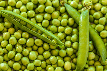 petits pois écossés 2