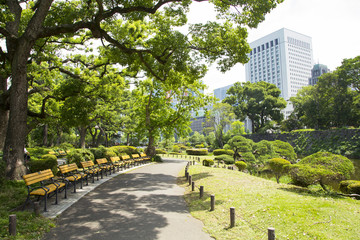 Landscape in Hibiya park