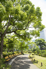 Landscape in Hibiya park