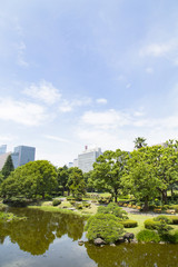 Fototapeta na wymiar Sinjiike Pond in Hibiya park
