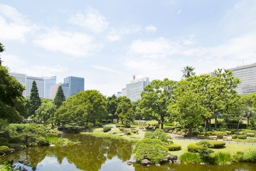 Fototapeta na wymiar Sinjiike Pond in Hibiya park