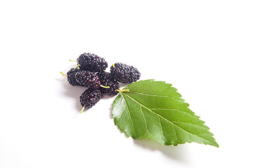 Heap of black mulberry fruit with leaf isolated on white.