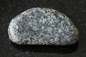 polished Peridotite stone with Phlogopite on black