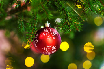 Fototapeta na wymiar red ball on christmas tree twig indoor