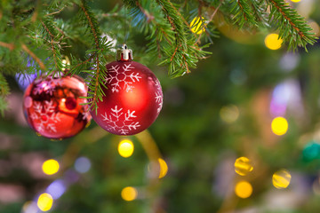 two red balls on fresh fir christmas tree twig