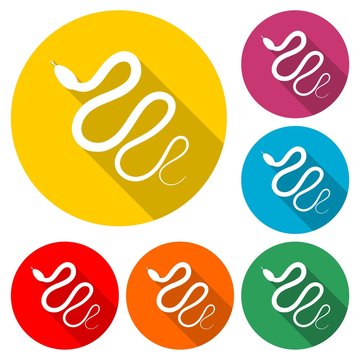 Reptile snake icon, color icon with long shadow