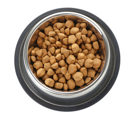 Bowl with pet food on white background, top view