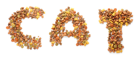 Word CAT made of dry pet food on white background