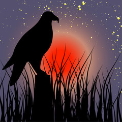 Fototapeta premium eagle grass sun stars illustration jpg