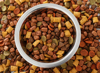 Bowl with pet food, top view