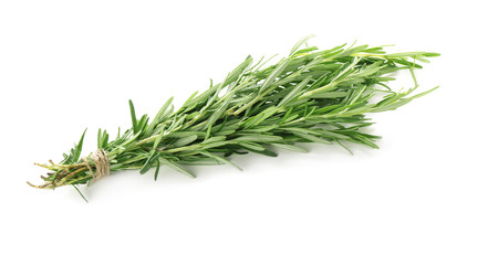 Bunch of fresh rosemary on white background