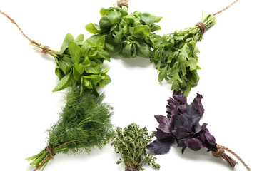 Frame made of fresh herbs on white background