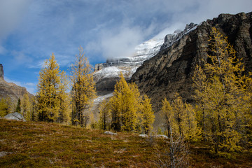 Valley of the Ten Peaks trail in Banff National Park, Canadian Rockies