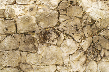 Fototapeta premium texture
