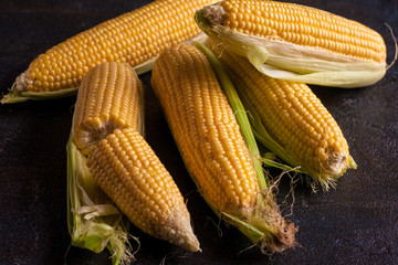 Maize