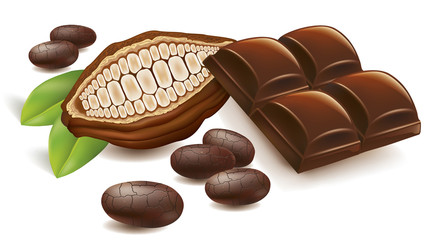 cacao beans with chocolate table 