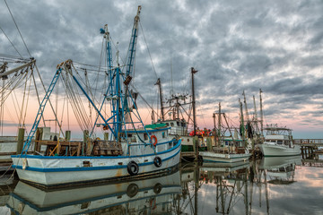 Fototapeta na wymiar Shrimp Boats in Port Royal, South Carolina