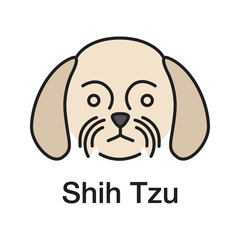 Shih Tzu color icon
