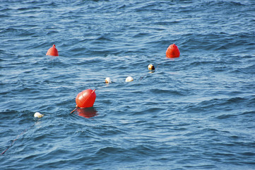 Red buoys on the blue sea.