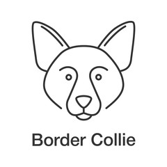 Border collie linear icon