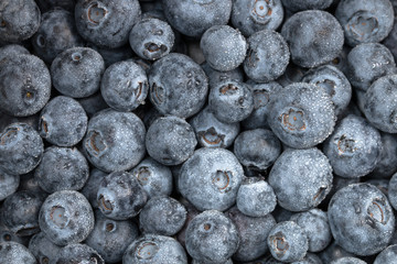 Fresh blueberry with water drops background.