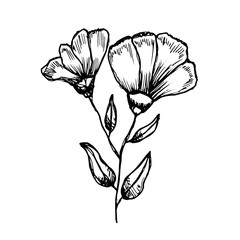 Fototapeta premium flowers sketch vector. isolated on white background