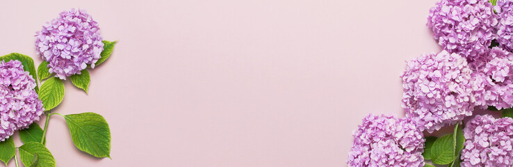 Lila roze hortensia bloem op pastel roze plat lag achtergrond. Moederdag, verjaardag, Valentijnsdag, Vrouwendag, vieringsconcept. Bovenaanzicht Florale achtergrond. Lang formaat.