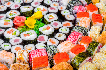 close up of a variety of sushi rolls in different colors and flavors