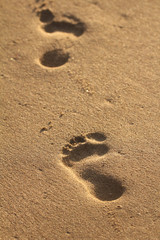 Fototapeta na wymiar Footprints in beach sand
