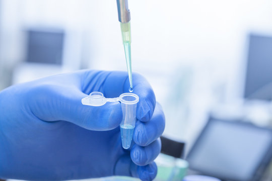 laboratories experiment