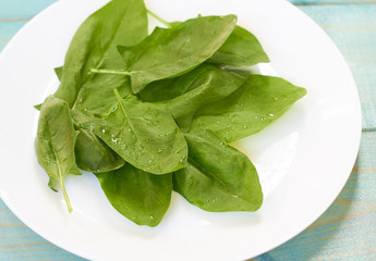  Fresh spinach on a white plate.