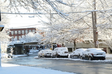 Fototapeta premium Heavy snow flakes