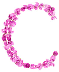 Letter C from alphabet, from flowers of violet, isolated on white background