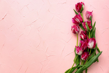 Beautiful tulips on color background
