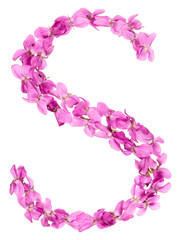 Letter S from alphabet, from flowers of violet, isolated on white background