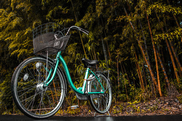 Fototapeta na wymiar Bike and Bamboo
