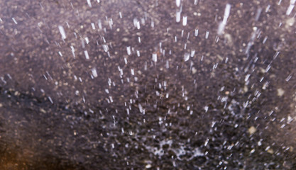 Fototapeta na wymiar Drop of rain .Macro.